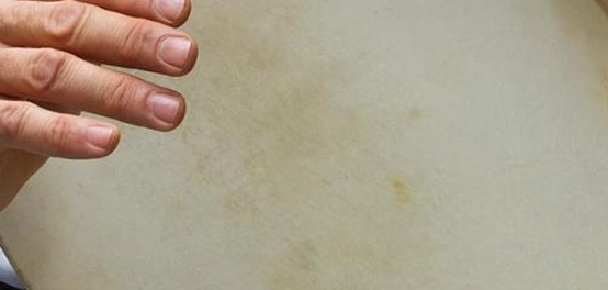 رحلة في عالم الموسيقى: من الأصول إلى العصر الحديث