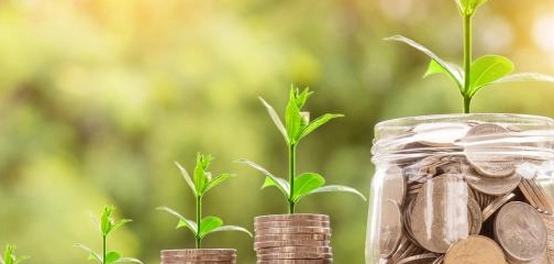 نظرة شاملة على مفهوم الموازنات وأنواعها