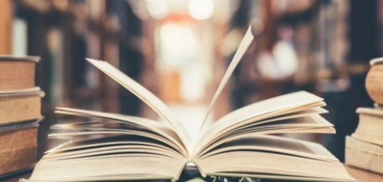 فهم المعرفة الحسية: من الحواس إلى الفكر