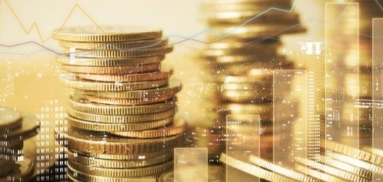 استجابة المتغيرات الاقتصادية: فهم المرونة
