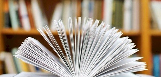 شرح مفصل للمثنى في اللغة العربية