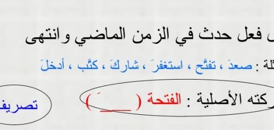 دراسة الفعل الماضي في اللغة العربية