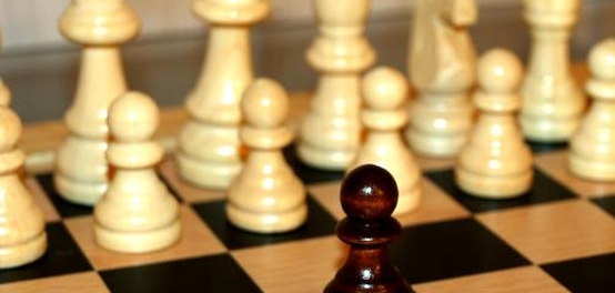 فهم العنصرية: جذورها، أشكالها، وكيفية مكافحتها