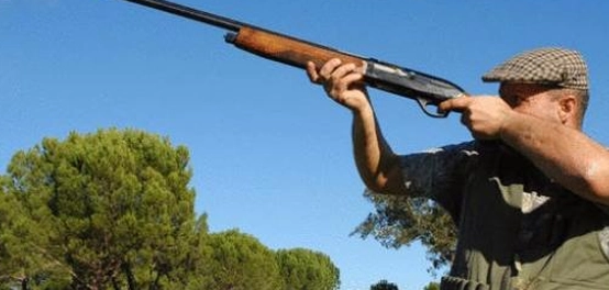 نظرة شاملة على فنّ الصيد