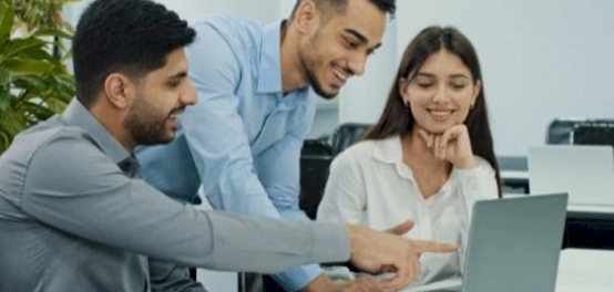 معايير السلوك المهني المثالي