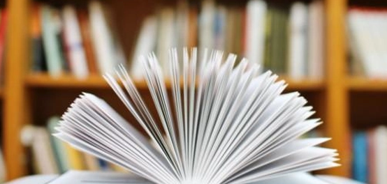فهم الاستثناء المفرغ في اللغة العربية