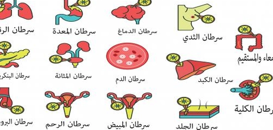 أنواع السرطان: دليل شامل