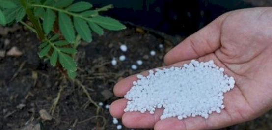 أشكال وخصائص سماد اليوريا