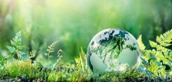 تنوع الأنظمة البيئية على كوكب الأرض
