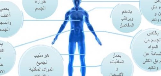 دور الماء الحيوي في صحة الإنسان