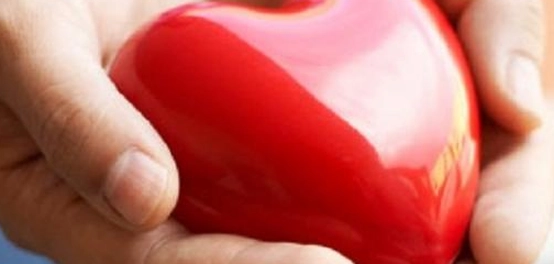 القلب: أعجوبة الحياة وركائز صحته