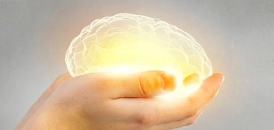 العقل و العلم: ركيزتا النهضة الإسلامية