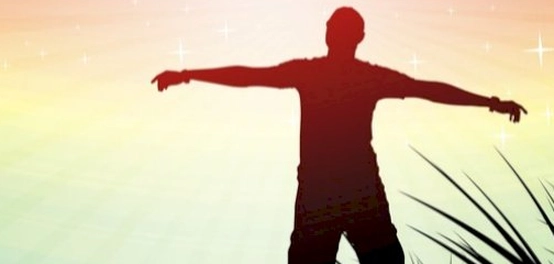 أهمية التوازن الداخلي الخلوي