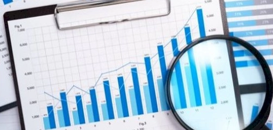 دور الإحصاء الحيوي في الأبحاث الاجتماعية