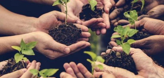 فضل الإحسان: رفعة الفرد ونهضة المجتمع