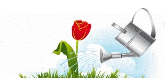 دور الأخلاق في بناء مجتمع متماسك