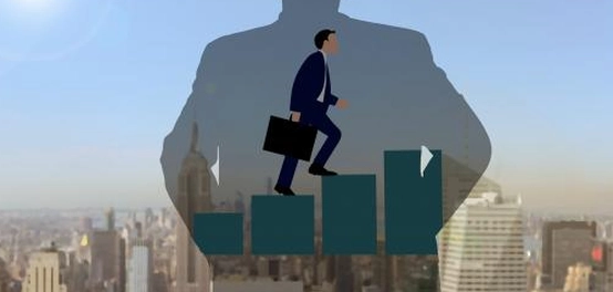 دور إدارة الأداء في بناء منظمات ناجحة