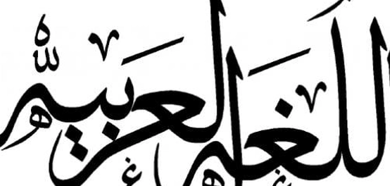 كنوز اللغة العربية: رحلة عبر أهم معاجمها