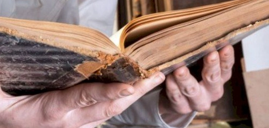 أبرز مؤلفات السيرة الذاتية العربية