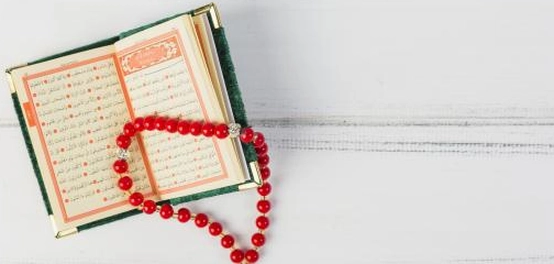 ركائز الفقه الإسلامي الأساسية