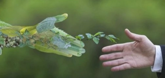 حماية البيئة وصحة الإنسان: أهداف رئيسية