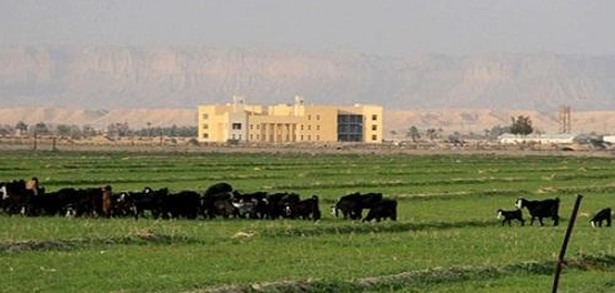 اكتشاف ضرما: تاريخها، موقعها، ومعالمها