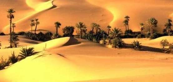 صحراء ثار: اكتشافات جيولوجية، تنوع بيولوجي، وسياحة