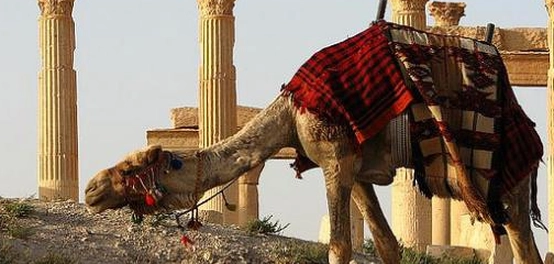 تاريخ مدينة تدمر و أهميتها الاستراتيجية