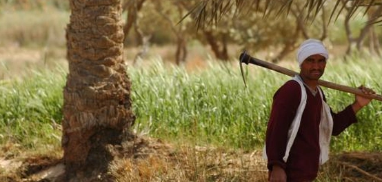فيوم مصر: تاريخ، موقع، اقتصاد، وسياحة