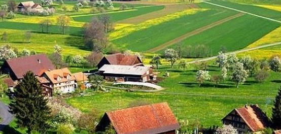 اسكتلندا: موقعها، حكومتها، وسكانها