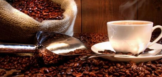 أصل البن: رحلة من اليمن إلى العالم