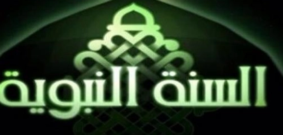 روّاد كتابة السيرة النبوية الشريفة