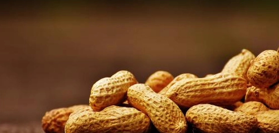 أهمية الدهون الغذائية وأنواعها ومصادرها