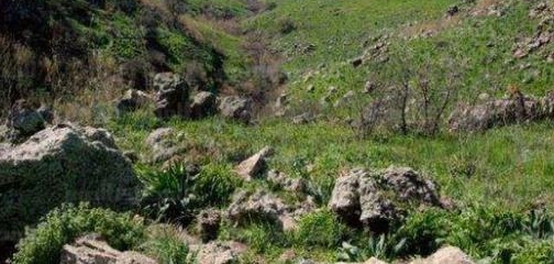 استكشاف هضبة الجولان: موقعها، طبيعتها، و أهميتها
