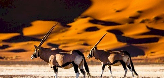 جمهورية ناميبيا: موقعها، جغرافيتها، ومناخها