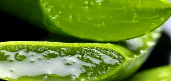 علاج آثار الحروق القديمة بالطرق الطبيعية