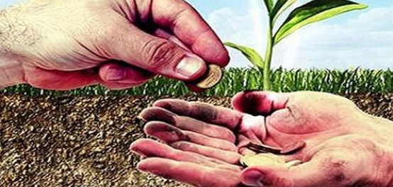 فقه الزكاة: أحكامها وتوزيعها على مستحقيها