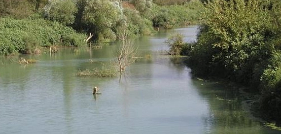 نهر العاصي: مساره، أهميته، وتأثيره