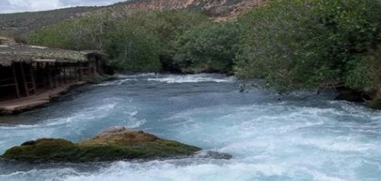 نهر أم الربيع: موقعه، طوله، وسدوده