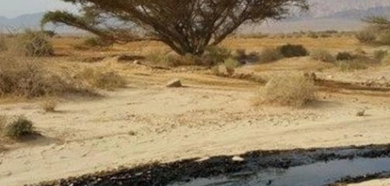 مكامن النفط والغاز في الأردن