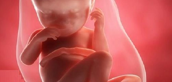 موقع الجنين في الشهر السابع: دليل شامل