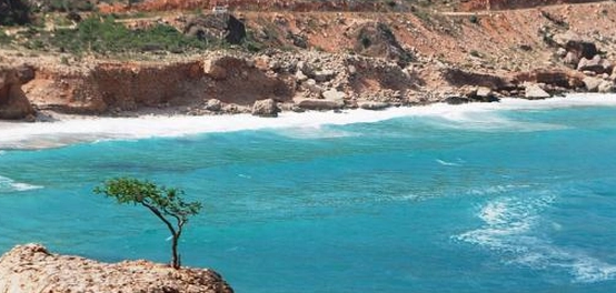 موقع بحر العرب: مناخه، أهميته، وحياته البحرية