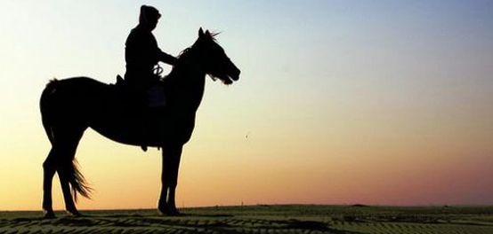 رحيل القائد صلاح الدين الأيوبي