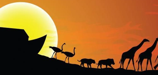 مسكن نبي الله نوح: رحلة عبر التاريخ