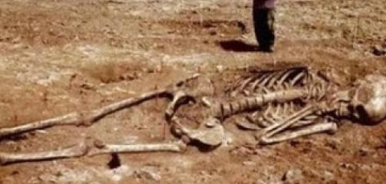 أرض قوم عاد: تاريخ وحضارة