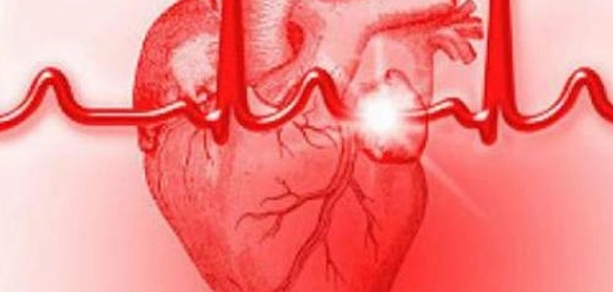 موقع القلب ووظائفه: دليل شامل