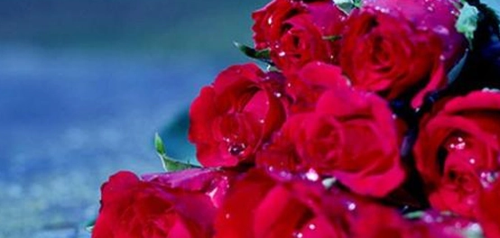 أجمل العبارات والأشعار عن الحب