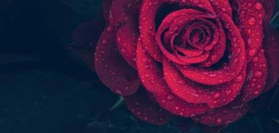أجمل الأبيات الشعرية الغزلية في الأدب العربي