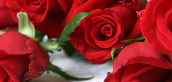 أجمل الأبيات الشعرية الرومانسية | قصائد حب وعشق