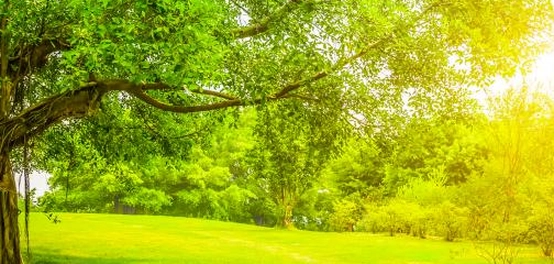 مفهوم الوطن ودور المواطن في بنائه